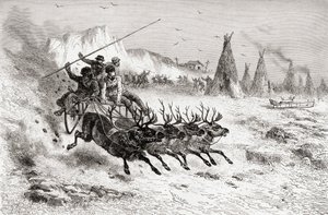Samoyedos de Caborova en un trineo tirado por renos, 1878